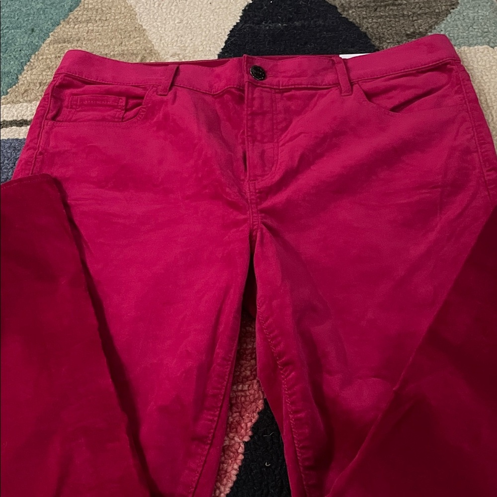 NWT Loft velvet skinny pants